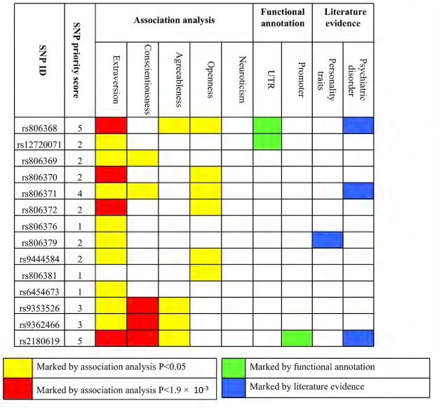 Prioritized SNPs with current and previous evidence. Filled orange boxes indicate evidence from association analysis with nominal significance (P < 0.05). Filled red boxes indicate evidence from association analysis with multiple testing correction significance (P < 0.0019). Filled green boxes indicate evidence from functional annotation. Filled blue boxes indicate evidence from the published literature. SNP priority scores were counted by adding each piece of evidence.