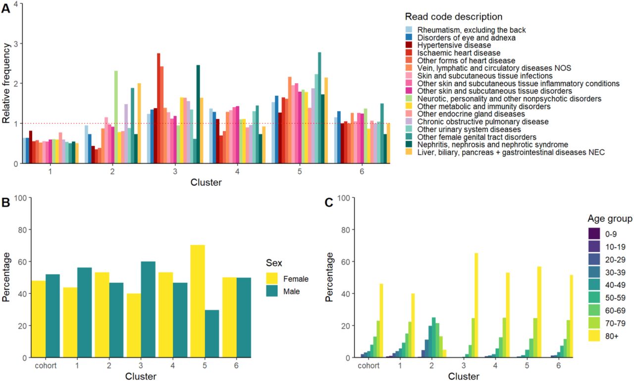 Cluster characteristics.Stratified by A) Relative frequency of cluster characteristics compared to overall cohort characteristics. B) Proportion by sex of each cluster and overall cohort. C) Percentage by age groups of each cluster and overall cohort.