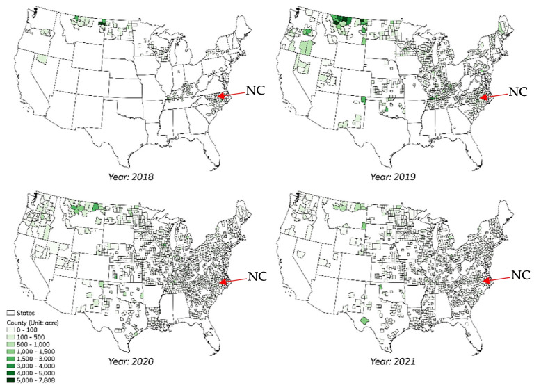 Planted area of Hemp Production in the U.S (State-level). Source: Tyler Mark (2022). Hemp Market Structure, Pricing, and Sustainability. USDA GRANT13669690/2022–06904