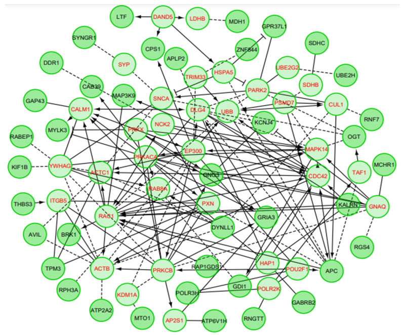 PCA of DEGs in AD. The DEGs are shown in black colored text, while red colored text represents linker proteins that are fetched from the pathway database to extract curated pathways annotation. The “→” indicates activating/catalyzing, while “-|” implies inhibitory activity. Functional interactions and predicted functional interactions have been shown through “-” and “—”, respectively. The network topology/properties are shown as inlet. PCA: Pathway enrichment analysis, DEGs: Differentially expressed genes, AD: Alzheimer’s disease.