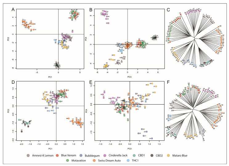 Principal component and phylogenetic analysis of 83 individual Cannabis plants. (A) PC1 and PC2 of the entire 3608 SNP dataset generated 4 distinct clusters. The central cluster of multiple varieties is resolved on PC3 and PC4 (B), with 8 clusters resolved on a phylogenetic tree (C). PCA of a reduced set of 172 SNPs shows variety grouping across (D) PC1/PC2 and (E) PC3/PC4 axes, as well as to produce the same 8 variety clusters as identified using the full 3608 SNP set in a phylogenetic analysis (F).