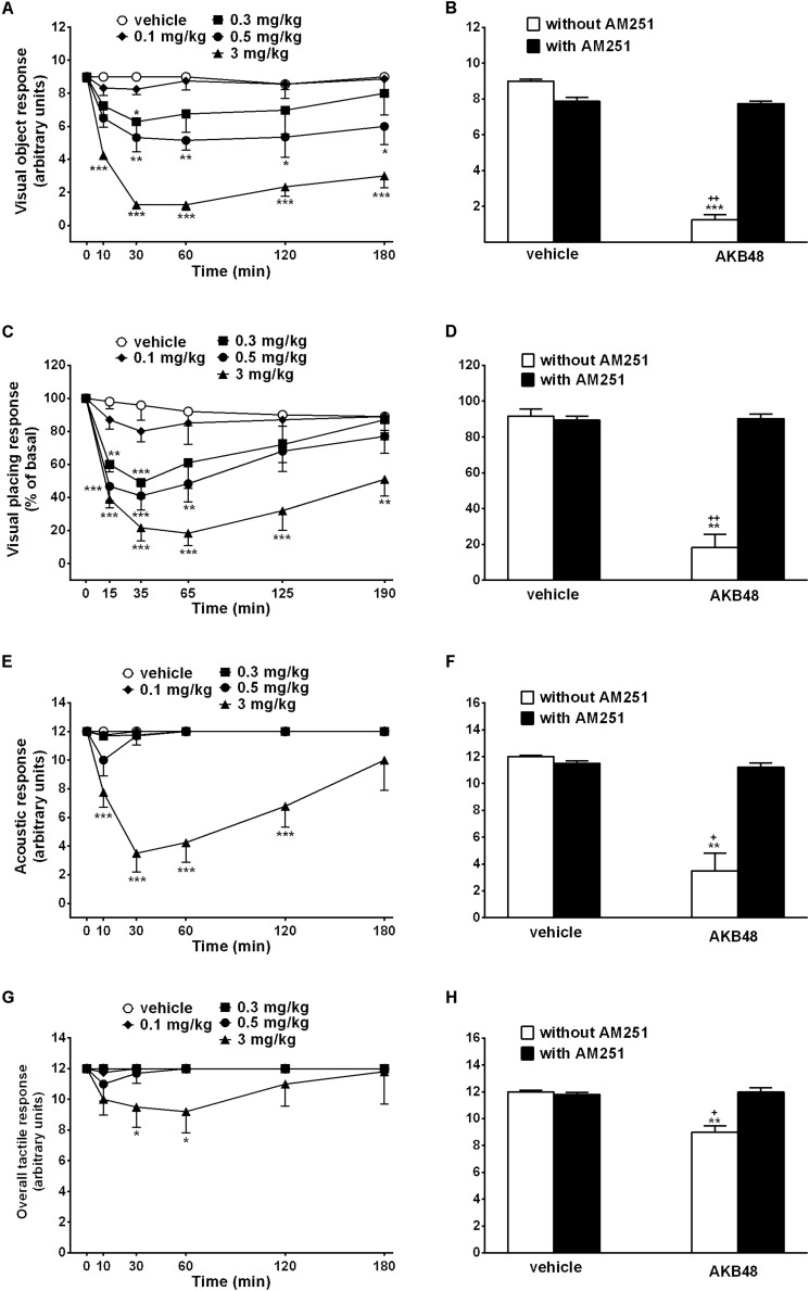 Effect of the systemic administration of AKB48 (0.1–3 mg/kg i.p.) on the visual object (A), the visual placing (C), the acoustic (E) and the overall tactile responses in rats. Interaction of AKB48 (3 mg/kg) with the selective CB1 receptor antagonist AM251 (1 mg/kg, i.p.) were reported in B,D,F,H). Data are expressed (see Materials and Methods) as arbitrary units (A,B,E–H) or% of basal (C,D) and represent the mean ± SEM of 8 animals for each treatment. Statistical analysis was performed by two-way ANOVA followed by the Bonferroni’s test for multiple comparisons for the dose response curve at different times (A,C,E,G) and for the interaction with AM251 (B,D,F,H). ∗p < 0.05, ∗∗p < 0.01, ∗∗∗p < 0.001 vs. vehicle and +p < 0.05, ++p < 0.01 vs. AM251 + AKB48.