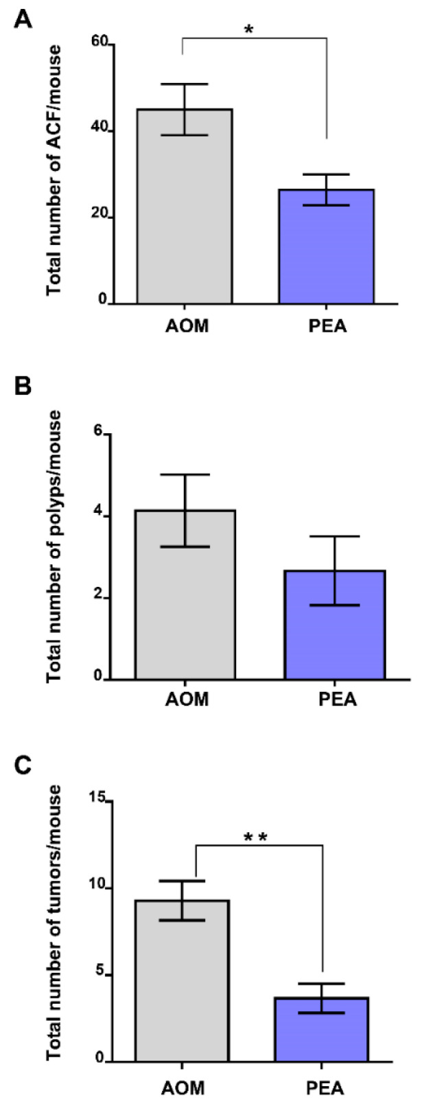 Effect of palmitoylethanolamide treatment in the murine azoxymethane (AOM) model of colon cancer. Total number of aberrant crypt foci (ACF) (A), polyps (B) and tumors (C) derived from the administration of AOM (40 mg/kg, intraperitoneally) in mice treated or not with ultramicronized palmitoylethanolamide (PEA, 10 mg/kg, intraperitoneally, three times/week for 13 weeks), (n = 6–7 mice per experimental group). Results are expressed as means ± SEM; * p < 0.05 and ** p < 0.01 vs. AOM as assessed by Student’s t-test.