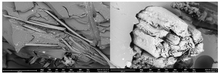 Microstructural analysis of 30% jute fiber-reinforced polymer composites through SEM.