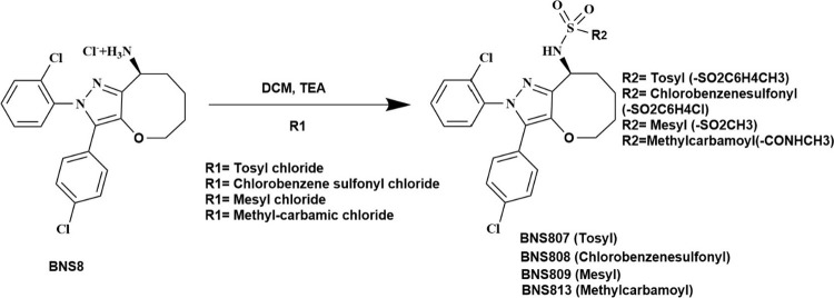 Chemical Synthesis of BNS807, BNS808, BNS809, and BNS813, According to General Procedure A, as Described in the Experimental SectionRepresentation of synthetic transformation where R1 denotes the reactant functional group (tosyl chloride, Chlorobenzene sulfonyl chloride, mesyl chloride, or methyl-carbamic chloride), and R2 represents the final substituent (−SO2C6H4CH3, −SO2C6H4Cl, −SO2CH3, or −CONHCH3) incorporated into the product.