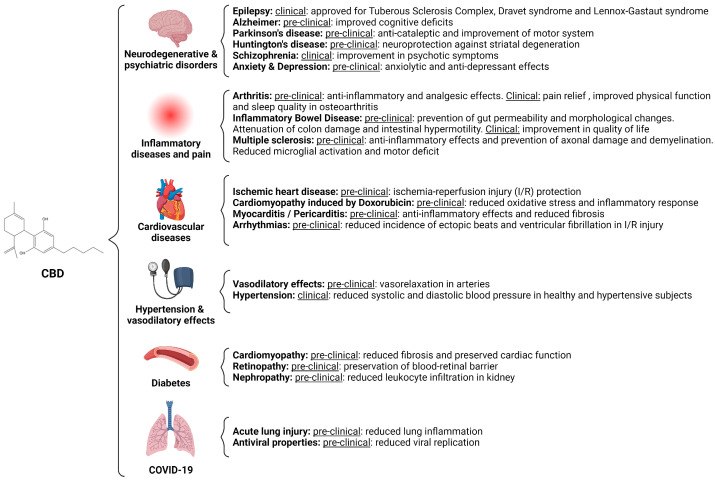 Summary of the effects of CBD in different organ systems and diseases such as neurodegenerative conditions, pain management, cerebral ischemia-reperfusion injury, heart diseases, vascular diseases, diabetes, and hypertension [54,57,58,71,104,110,125,126,137,138,144,148,151,152,167,168,169,170,181,182,185,201,202,205,211,214,215,218,219,220,221,224,226,227,229,232,233,235,236,241].