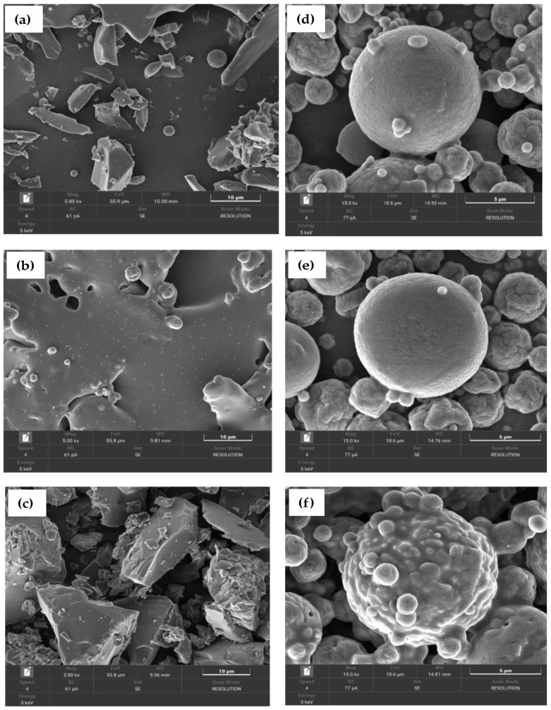FE-SEM images of microencapsulated bioactive compound nanoparticles (components of 2% chitosan combined with 2% Tween 80; (a,d): unencapsulated and encapsulated C. sativa, (b,e): unencapsulated and encapsulated C. indica; (c,f): unencapsulated and encapsulated M. speiosa.