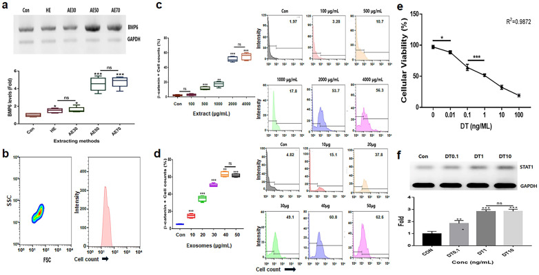 Establishment of exposure concentrations for biomaterials and stressors. (a) Comparison of hydrothermal extracts (HEs) and alcoholic extracts (AEs; AE%) for effective upregulation of marker levels. (b) Purification of induced exosomes derived from calli of germinated hemp seeds. (c–f) Establishment of exposure concentrations with germinated extracts (c), induced exosome (d), and dihydrotestosterone (DT; e,f) using evaluations of effective doses. ns, not significant; (* p < 0.05; ** p < 0.01; *** p < 0.001).