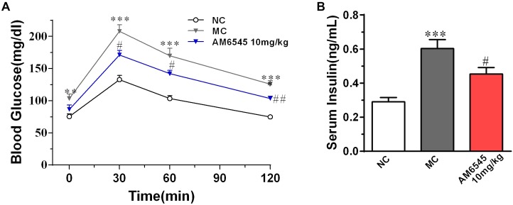 Effect of AM6545 on glucose tolerance and serum insulin level in MSG mice. (A) Oral glucose tolerance tests (OGTT) were performed after 2 weeks treatment. Mice were fasted for 6 h and then subjected to OGTT, blood glucose was tested at the indicated time. (B) Serum insulin level. NC, normal control; MC, model control; values are mean ± SEM, n = 8 per group; ∗∗p < 0.01, ∗∗∗p < 0.001 versus NC group; #p < 0.05, ##p < 0.01 versus MC group.