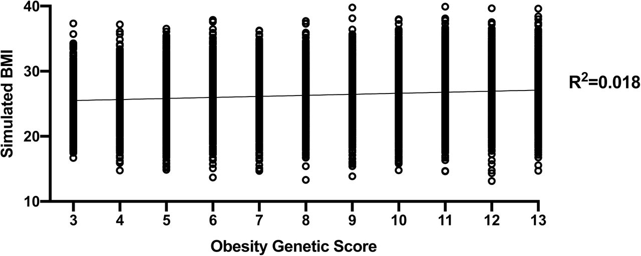 Linear regression of genetic BMI risk score versus BMI.Linear regression of 1,000 synthetic BMI datapoints per group of BMI genetic risk score, as developed by Willer et al..4 There was a significant association between risk score and BMI (p<0.001, R2=0.018), with around 2% of BMI determined by the eight SNPs most significantly associated with BMI.