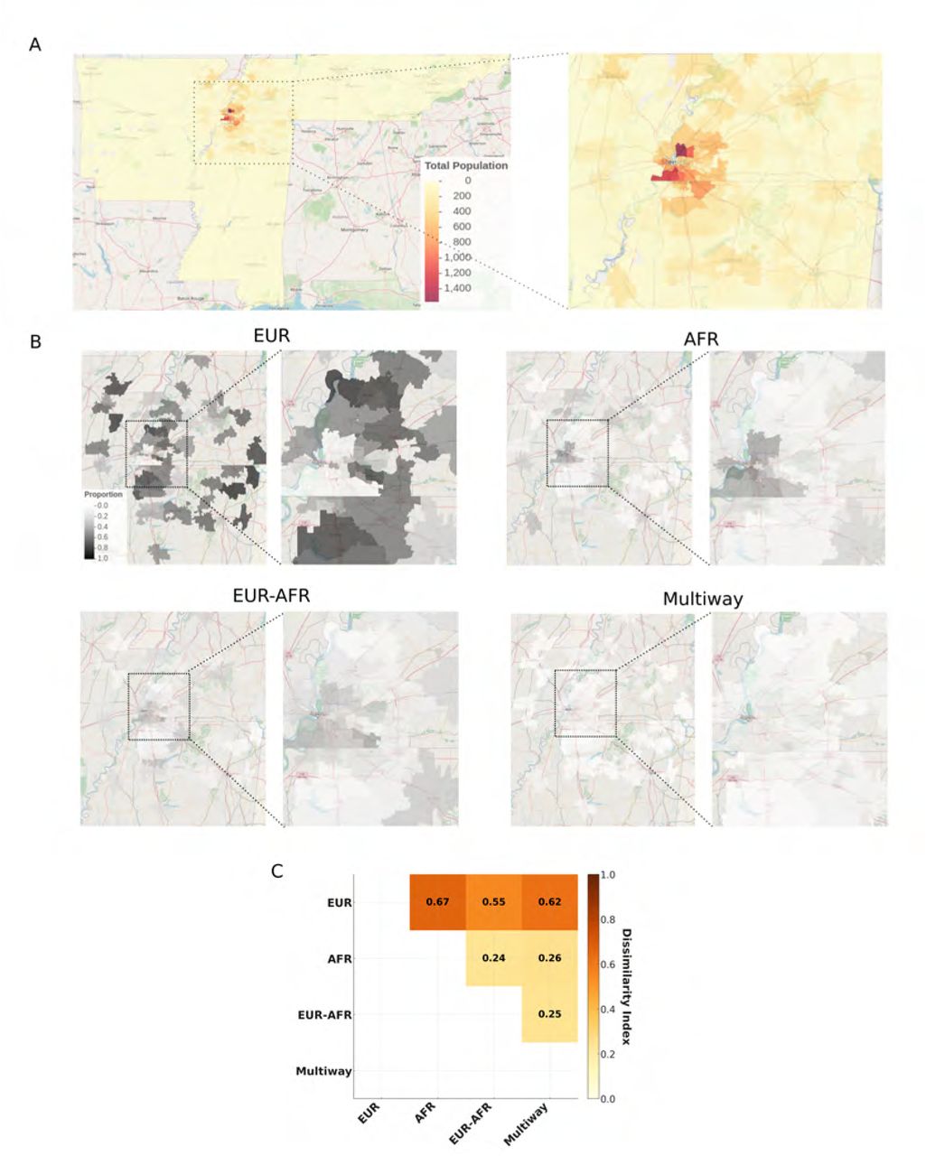 Demography of enrolled participants.(A) Number of enrolled participants by ZIP code. The region surrounding Memphis City is zoomed in. (B) Proportion of individuals by zip code for inferred ancestries with more than 500 individuals. (C) Pairwise Dissimilarity index between ancestries, considering the proportion in each zip code. The dissimilarity index measures the extent of segregation between two groups across geographic areas, indicating the proportion of one group that would need to relocate to achieve an even distribution relative to the other group, with values ranging from 0 (perfect integration) to 1 (complete segregation).