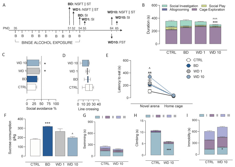 Binge-like alcohol exposure during adolescence disrupts reward/aversion behaviour during withdrawal. (A) Rats exposed to a binge-like alcohol drinking paradigm during adolescence did not show social behaviour alterations at BD, whereas they displayed (B) decreased duration of social investigation at WD10, as compared with CTRL (*** p < 0.001) and BD (^^^ p < 0.001) and (C) increased social anxiety-like behaviour, in terms of social avoidance %, at WD1 and WD10, when compared with CTRL (* p < 0.05) (D) in the presence of no difference in the number of line crossings, as a measure of locomotor activity. In addition, (E) rats exposed to a binge-like alcohol drinking paradigm during adolescence did not show novelty-induced anxiety-like behaviour in the novelty-suppressed feeding test at BD, since no difference in latency to eat in the novel arena was measured with respect to CTRL, while, at WD10, they show increased latency to eat when compared with CTRL (** p < 0.01) and BD (^ p < 0.05), who showed no difference in latency to eat in their home cage. On the other hand, (F) at BD rats showed increased sensitivity to natural reward in the sucrose-preference test as compared with CTRL rats (*** p < 0.001), which significantly decreased at WD10 (^ p < 0.05). (G–I) When tested for coping under forced-swim stress, Rats exposed a to binge-like alcohol drinking during adolescence showed (G) similar swimming duration as CTRL rats, however, WD10 rats displayed a passive coping strategy withing the first 5 min of the test, wherein we observed (H) decreased climbing and (I) increased immobility duration, as compared with the CTRL counterpart. BD: binge day; WD1: withdrawal day 1; WD10: withdrawal day 10; CTRL: water-exposed control group; NSFT: novelty-suppressed feeding test; ST: sucrose-consumption test; SI: social-interaction test; FST: forced-swim test. Each bar and each circle represent the mean of n = 7 rats; error bars indicate SEM.