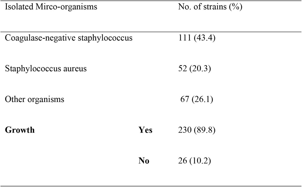 Prevalence of bacterial isolates (N=256)
