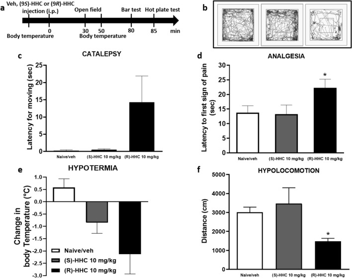 Dose-dependent effects of (9R)-HHC and (9S)-HHC administration (10 mg/kg, i.p.) on the tetrad behavioural tests in mice in comparison to vehicle. Time schedule of the tetrad tests in min from (9R)-HHC, (9S)-HHC or vehicle administration (a). Locomotion decrease induced by (9R)-HHC administration in the open field test (b, f). Decrease of body temperature after (9R)-HHC administration (e); the values are expressed as the difference between the basal temperature (i.e., taken before (9R)-HHC or vehicle administration) and the temperature measured after (9R)-HHC or vehicle administration. Increase in the latency for moving from the catalepsy bar after (9R)-HHC administration (c). Increase in the latency after the first sign of pain shown by the mouse in the hot plate test following (9R)-HHC administration (d). Data are represented as the mean ± SEM of 4 mice per group. * indicates significant differences compared to vehicle injection, *p < 0.05 Tukey’s test.