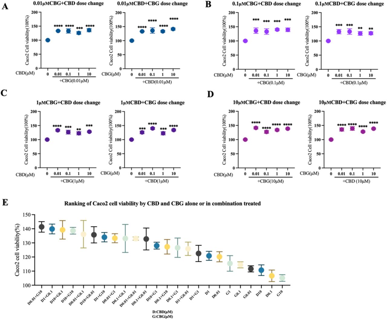 Low-dose combinations of CBD and CBG synergistically enhance Caco-2 cell survival.(A–D) Cell viability of Caco-2 cells treated with CBD and CBG combinations at varying concentrations. Each panel represents a fixed concentration of one compound (A: 0.01 µM, B: 0.1 µM, C: 1 µM, D: 10 µM) combined with dose gradients (0.01, 0.1, 1, and 10 µM) of the other. (E) Comparative ranking of cell viability values for single and combined treatments of CBD (D) and CBG (G) at the indicated concentrations, arranged from highest to lowest. (D indicates CBD; G indicates CBG; numerical values represent the concentration of each compound.)Cell viability values were normalized to DMSO-treated controls. Data represent the mean ± SD of three independent biological replicates. Statistical significance was determined using one-way ANOVA. n.s., P > 0.05; P ≤ 0.05; *P ≤ 0.01; **P ≤ 0.001; ***P ≤ 0.0001.