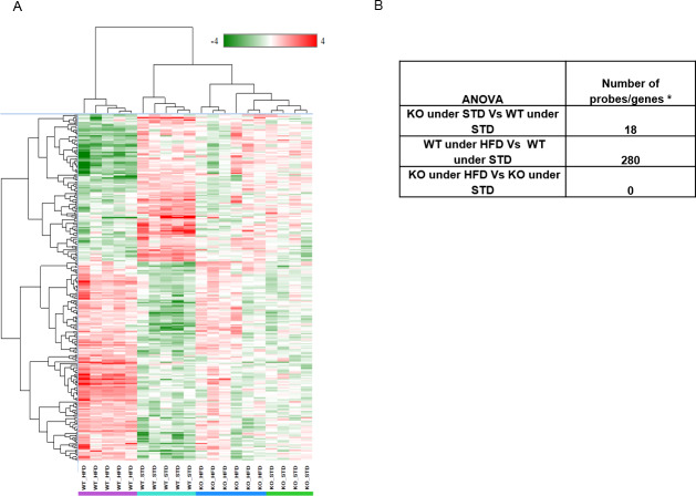 Transcriptomic analysis of mice liver from DIO 2.A- Hierarchical clustering on differentially expressed genes in liver samples from WTHFD vs WTSTD. Anova between WTHFD vs WTSTD yielded differential expression of 280 probes (genes/lincRNA having foldchange of ±2 with False Discovery Rate <0.05). B- number of genes/probes with Fold change of above +2 or below -2 with FDR 0.05.
