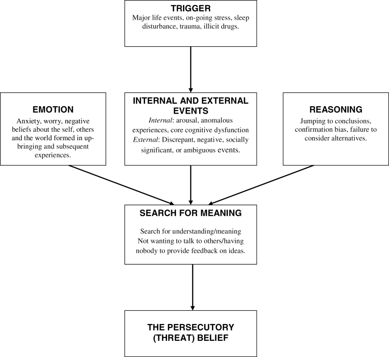Outline of factors involved in persecutory delusion development.5