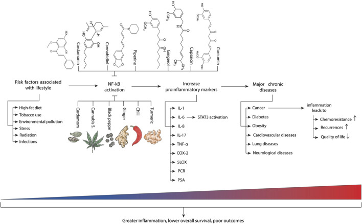 Main risk factors and inflammatory molecules associated with chronic diseases. Adapted from (Gupta et al., 2018b) with additional elements from (Suryavanshi et al., 2021).