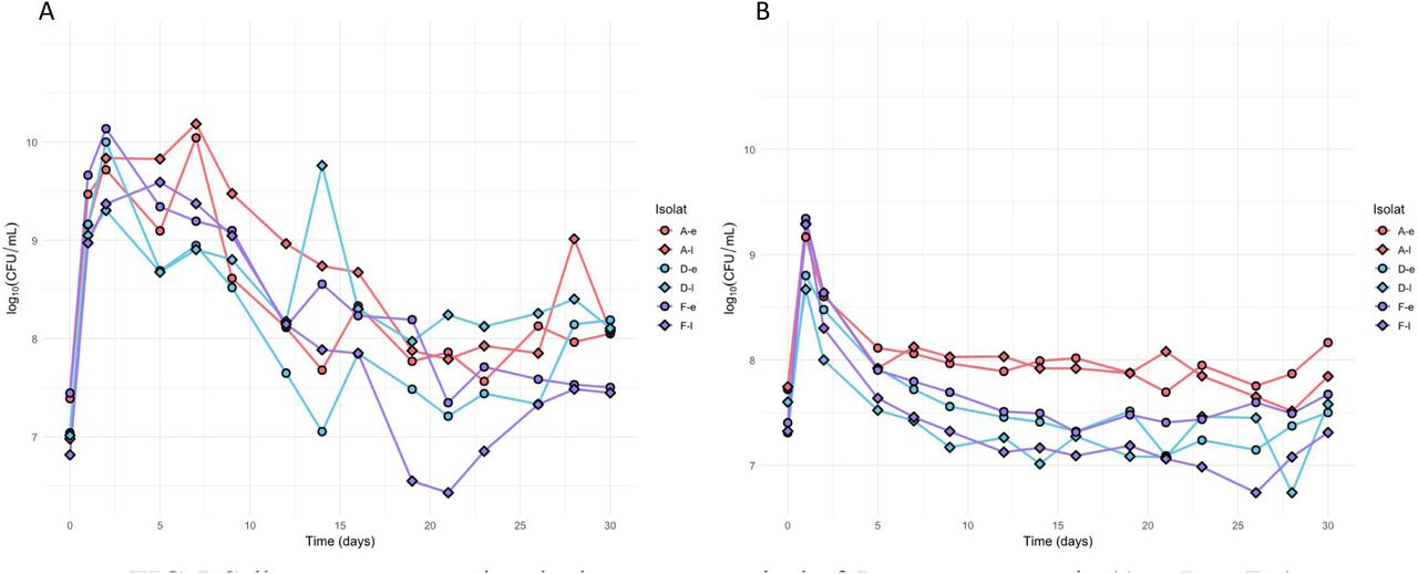 Cell counts representing the long-term survival of P. aeruginosa early (A-e, D-e, F-e) and late (A-l, D-l, F-l) isolates in Trypticase Soy broth (A) or in Human Urine (B).