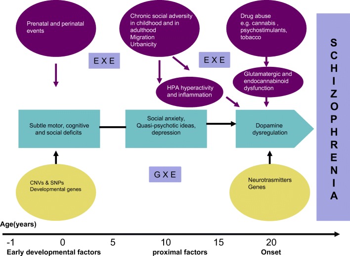 Developmental cascade towards schizophrenia. CNV, copy number variations; SNPs, single nucleotide polymorphisms; ExE, environment–environment interaction; GxE, gene–environment interaction