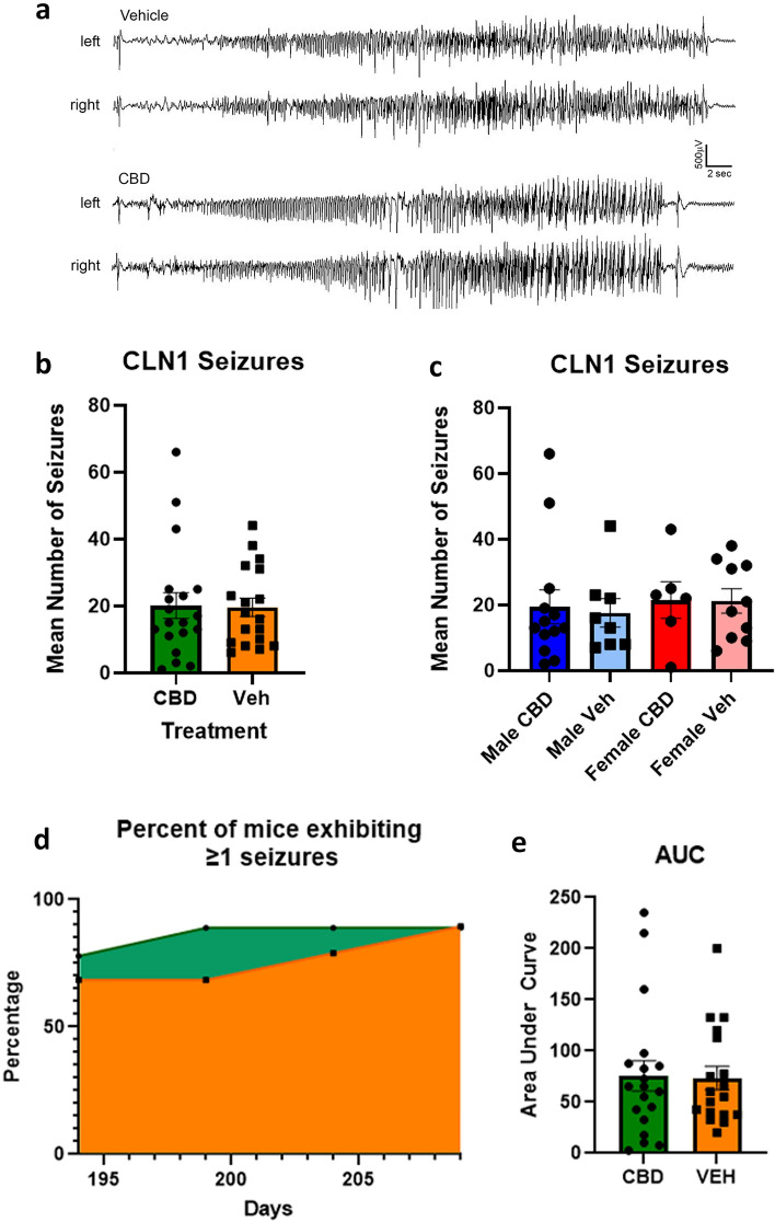Chronic treatment with cannabidiol does not affect seizures in Cln1−/− mice. (a) EEG tracings during seizures are displayed for Cln1−/− mice treated with either vehicle or CBD; readings from electrodes placed on the left and right side of the skull are shown. Mice treated with CBD or vehicle exhibited similar numbers of seizures, and this was true within both males and females when analyzed separately (b,c). A similar proportion of Cln1−/− mice exhibited seizures across the observation window regardless of treatment, as shown in the area under the curve analysis (d,e). Data shown are means ± SEM.