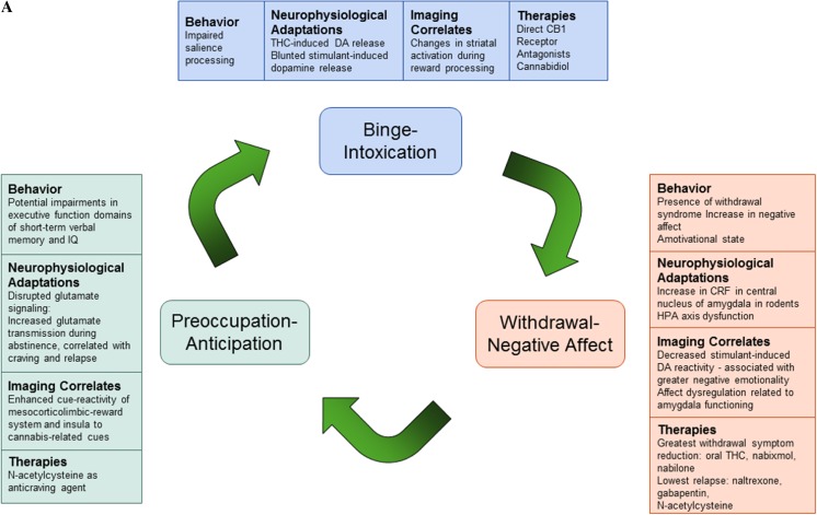 a. Model of neurocircuitry and correlating disruptions in brain function and neurophysiology that contribute to behaviors underlying drug addiction. b. Summary of the changes in neurocircuitry associated with each stage
