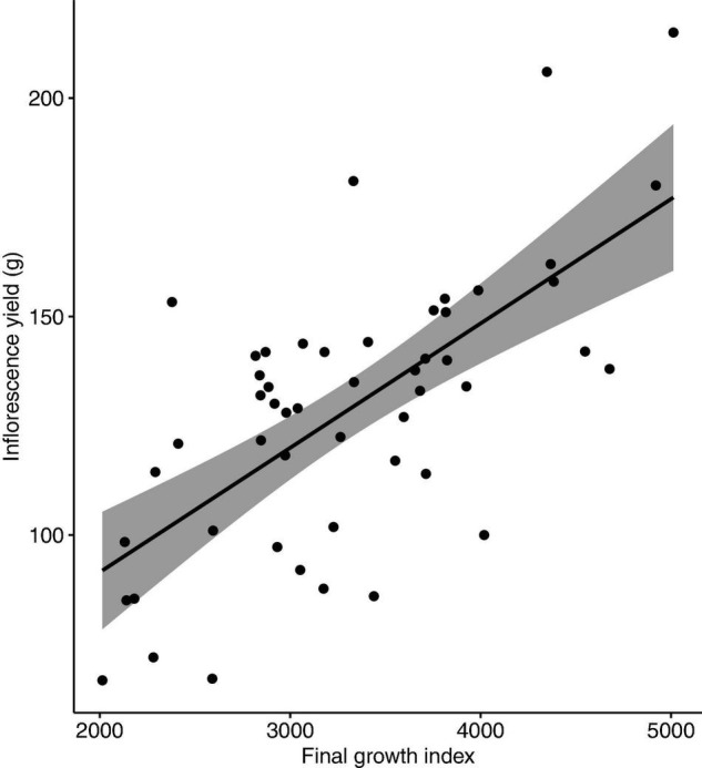 Correlation between inflorescence yield (g/plant) and plant growth index of Cannabis sativa (r = 0.67, P < 0.001). Shaded area represents 95% confidence interval.