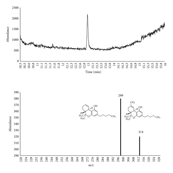 GC-MS chromatogram and fragmentation pathway of Δ9-THC.