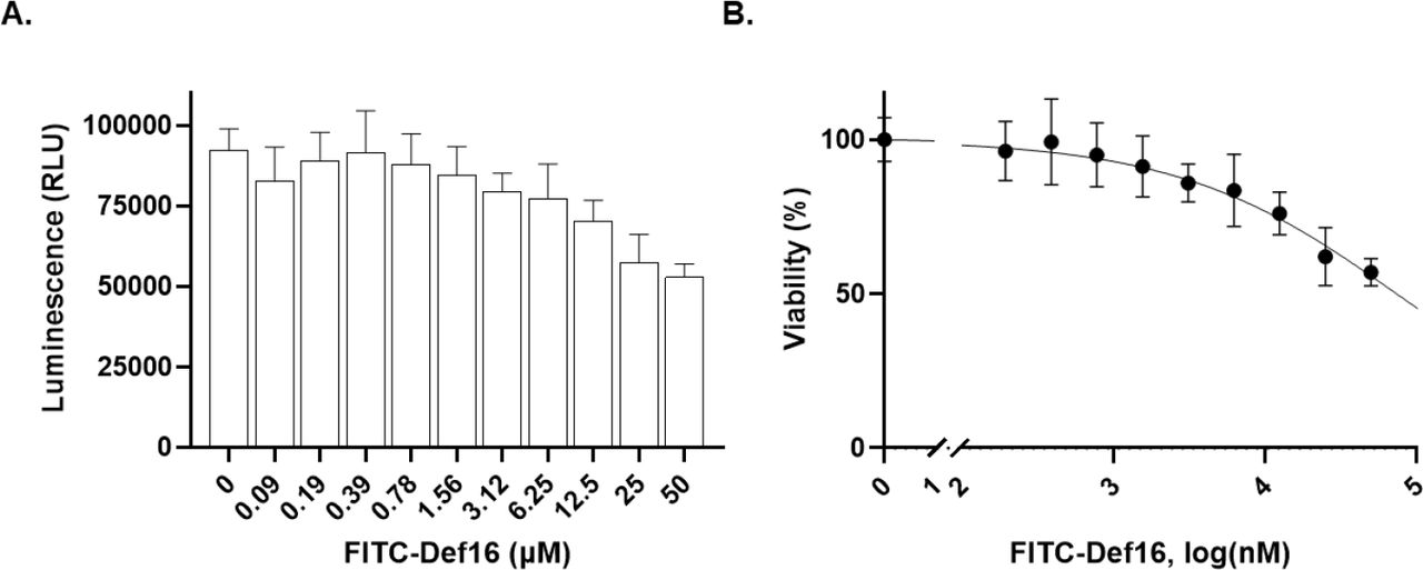 Def16 effect on the cellular viability.HeLa cells were seeded in a 96-well plate at 5,000 cells/well and incubated with variable Def16 concentrations for 24 hours. Cellular viability was determined through the CellTiter assay, quantifying ATP levels. (A) Bar plot showing luminescence values vs. peptide concentrations. (B) Fitting the data into a symmetrical sigmoidal curve yields an IC50 of 73 µM.