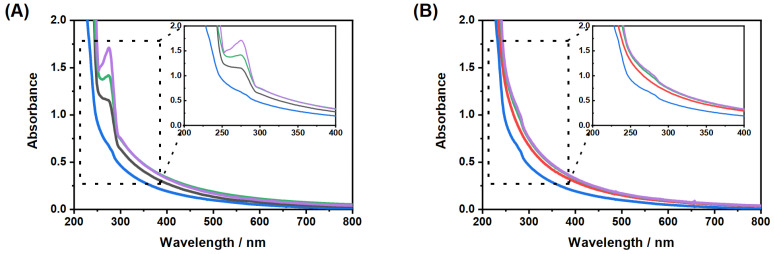 UV/Vis measurements for the investigation of the loading (20 ∘C) and release (40 ∘C) of CBD by the copolymer microgel particles. The measurements were performed after the incorporation (A) and release (B) of CBD in EtOH in a 0.3wt% microgel suspension. The initial concentrations of CBD were 0.5 mg/mL (black), 15 mg/mL (green) and 25 mg/mL (purple) (1 mg/mL and 5 mg/mL are not displayed for the sake of clarity of the presentation). The absorbance spectrum of a pure microgel suspension is given for comparison (blue).