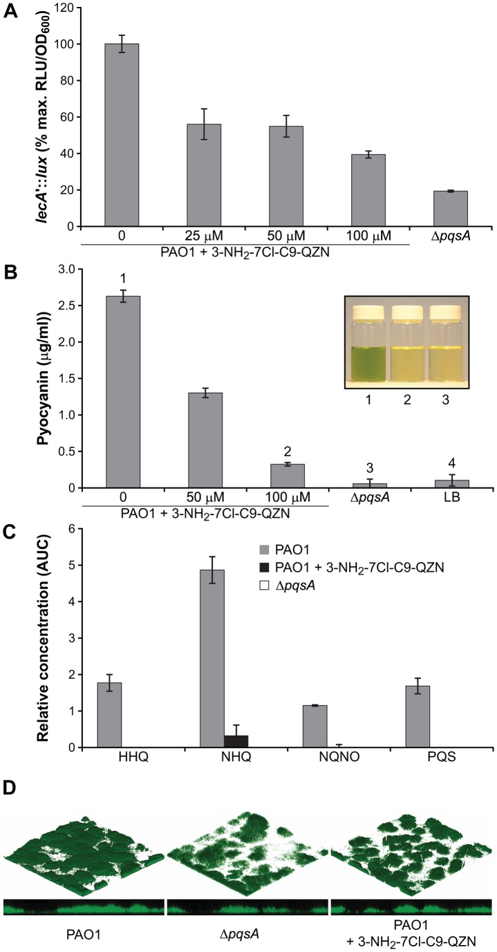 3-NH2-7Cl-C9-QZN inhibits AQ-dependent P. aeruginosa virulence factor production and biofilm development.(A) expression of lecA in P. aeruginosa PAO1 is inhibited by 3-NH2-7Cl-C9-QZN as reflected by a lecA'-lux chromosomal reporter fusion; (B) production of pyocyanin by P. aeruginosa PAO1 grown in the presence of 0, 50 or 100 µM 3-NH2-7Cl-C9-QZN and in a corresponding ΔpqsA mutant. The inhibition of pyocyanin production by 3-NH2-7Cl-C9-QZN is observed as an absence of green pigmentation in culture supernatants (inset; numbers correspond to columns); (C) Semi-quantitative analysis by LC-MS/MS of HHQ, NHQ, NQNO and PQS production by P. aeruginosa PAO1 grown in the absence or presence of 200 µM 3-NH2-7Cl-C9-QZN. The ΔpqsA mutant was used as a negative control; (D) Biofilm development is reduced in P. aeruginosa by a ΔpqsA mutation and following treatment of the wild type PAO1 strain with 3-NH2-7Cl-C9-QZN.