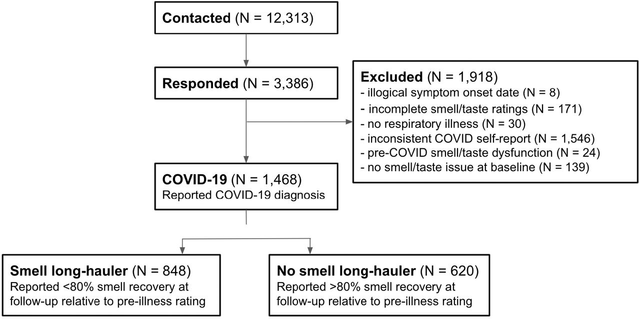 Summary of participants described in the current study. As shown in the exclusion box, the majority of S2 respondents were excluded from present analyses due to inconsistent reports of their COVID-19 diagnosis between S1 and S2. Participants were also excluded for missing or inconsistent data, chemosensory dysfunction prior to COVID-19.