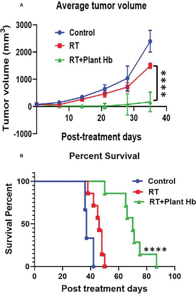 Plant Hemoglobin as a Radiation Therapy Enhancer. Significant reduction of tumor volume (n=6) (A) and increased survival (n=7) (B) in mice with pancreatic adenocarcinoma after treatment with plant hemoglobin and adjuvant radiation therapy (****p<0.0001).