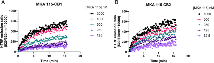 Example kinetic profile of a non-ideal nonselective cannabinoid probe. Kinetic association binding curves of the fluorescent cannabinoid ligand MKA 115 binding to (A) CB1R- and (B) CB2R-expressing membranes conducted at 25°C. Graphs are representatives of three independent experiments and show specific binding expressed as HTRF emission ratios.
