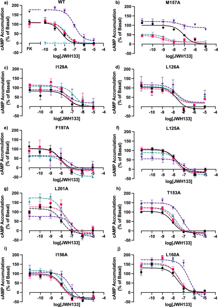 Effect of CBD on CB2 in the presence of CB2 agonist JWH133 in cAMP accumulation assays. FK-induced (7.5 μM) cAMP accumulation inhibition dose–response curves monitoring the effect of CBD on WT CB2 and CB2 mutants using a CB2 selective agonist, JWH133. (a) WT CB2, (b) M1574.49A, (c) I1293.48A, (d) L1263.45A, (e) F1975.46A, (f) L1253.44A, (g) L2015.50A, (h) T1534.45A, (i) I1564.48A, and (j) L1604.52A. Figure 3b–g shows cAMP signaling curves of CB2 mutants demonstrating a loss and/or alteration in the allosteric signal in the presence of CB2 allosteric modulator, CBD, and CB2 selective agonist, JWH133. Figure 3h–j shows cAMP signaling curves of CB2 mutants still demonstrating an allosteric effect in the presence of CB2 allosteric modulator, CBD, and CB2 selective agonist, JWH133. Although these mutants still remain to have an allosteric effect, there is still an alteration of the signal demonstrating that these amino acids could be involved in the proposed site, but it is less likely. [Black = vehicle control (no CBD), pink = 0.1 μM CBD, green = 1 μM CBD, purple = 10 μM CBD, and light blue = CBD alone]. FK alone represents 100%. Data are represented as mean ± SEM as percentage of accumulation normalized to the vehicle control from three independent experiments done in triplicate. [See Table S5 for pEC50/pIC50 values, where statistical tests were performed to compare the pIC50/pEC50 values of each condition of Ec2la (0.1, 1, 10 μM) vs vehicle control (no Ec2la) in GraphPad Prism using a repeated measures one-way ANOVA with Dunnett’s multiple comparisons test (* < 0.05)].