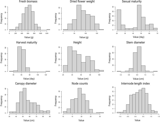 Frequency distribution of phenotypic data for 176 drug-type accessions used in this study. For each trait, the minimum and maximum values significantly differed (t-test p < 0.001) from the overall population mean.