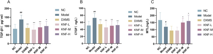 Effect of KN decoction on tissue fibrosis and intestinal protective effects in PIA rats (n = 10). (A) TGF-β1 levels measured in adherent intestinal tissues of rats; (B) CTGF levels measured in adherent intestinal tissues of rats; (C) MTL levels measured in the ileum of rats. # p < 0.05, ## p < 0.01 compared to the Normal Control. ∗ p < 0.05, ∗∗ p < 0.01 compared to the Model.
