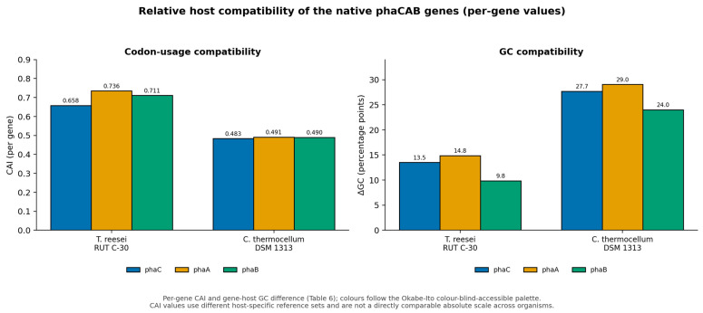 Relative host compatibility of the native phaCAB genes, shown as numerical values rather than qualitative categories. Codon-usage compatibility is given as the mean CAI of phaC, phaA and phaB, and GC compatibility as the mean absolute gene–host GC difference: mean CAI 0.702 and mean |ΔGC| 12.72 percentage points for T. reesei, and mean CAI 0.488 and mean |ΔGC| 26.91 percentage points for C. thermocellum. Exact gene-specific values are reported in Table 6. CAI values were computed against different host-specific reference sets and are not a directly comparable absolute performance scale across organisms; they should be read as within-host relative measures only.