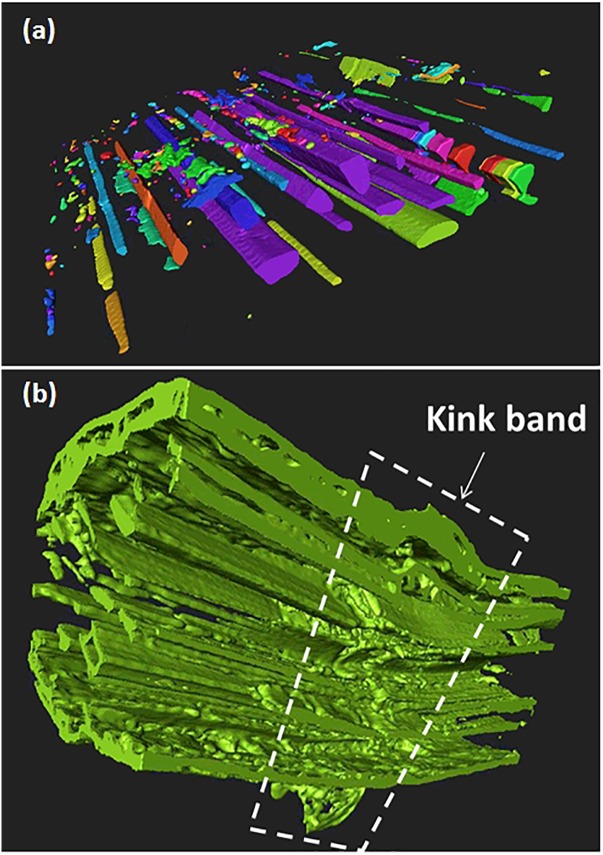 3D imaging of defects illustrated in hemp bast fibers: (a) tubular lumen space revealed using corner flooding, and 3D labeling technique on bundle FXU5, (b) longitudinal cross-section view near a collection of kink bands along the radial dimension of the bundle (white frame).