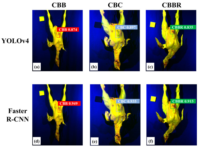 Randomly selected detection results of the model: (a–c) and (d–f) are the random detection results of the YOLOv4 CBD classification model and the Faster R-CNN CBD classification model, respectively, for chicken carcasses with CBB, CBC, and CBBR defects.