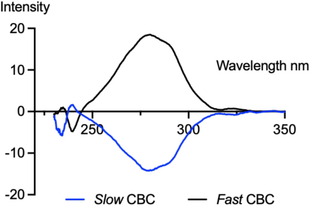 CD Spectrum of Fast and Slow CBC.The absorbance and circular dichroism (CD) spectra of the samples were determined on a Jasco (Hachioji, Japan) J-1500 spectropolarimeter by diluting the enantiomerically pure sample to 1 mg/ml in DMSO/ethanol, 1 mm path length.