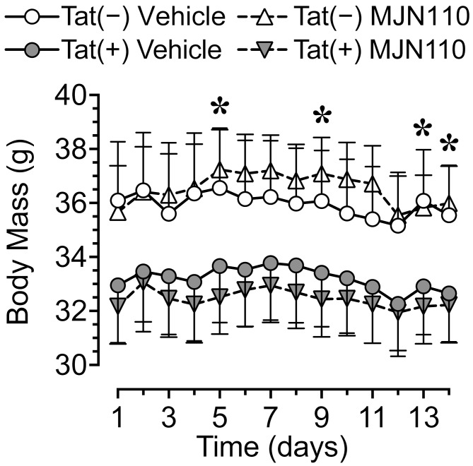 Body mass data for the two weeks of MJN110/vehicle injections prior to the start of behavioral assessment. Tat expression showed a trend for decreased body mass (g) over the two-week period, with lower body mass for Tat(+) mice compared to Tat(−) mice on days 5, 9, 13, and 14. Follow-up Tukey’s post hoc test demonstrated no significant group differences. No effects were noted for MJN110 treatment. All data are expressed as mean ± the standard error of the mean (SEM). Statistical significance was assessed by ANOVAs followed by Tukey’s post hoc tests when appropriate; *p < 0.05 main effect of genotype.