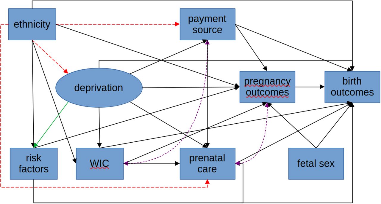 – a schematic diagram of the causal paths in the ‘realistic’ and ‘no-racism’ modelsLegend: The diagram shows the causal paths and non-causal associations between ethnicity, deprivation, payment source, and other variables. Rectangular boxes represent manifest variables; the oval represents latent deprivation. Single-ended arrows represent causal paths, double-ended, mauve, dashed arrows represent correlations. The green arrow indicates that risk factors are manifest indicators of deprivation. The ‘no-racism’ model excluded the red dashed arrows. Supplementary Figure S1 shows more complete details of the study models’ path diagrams. Key: WIC = participation in the Supplemental Nutrition Program for Women, Infants and Children.