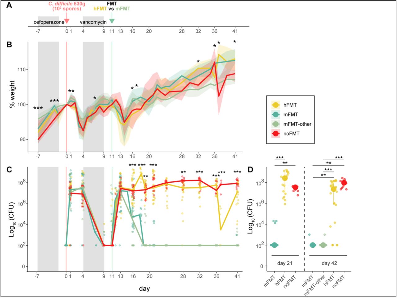 Human-derived fecal material fails to clear C. difficile in mice with recurrent C. difficile infection (CDI).A) Mouse model of recurrent CDI. B) Percent weight loss (compared to day 0, day of C. difficile infection) over time in mice treated with feces from healthy humans (hFMT; n = 53), colony-matched mice (mFMT; n = 33), mice representative of different genetic or colony backgrounds (mFMT-other; n = 23), or untreated mice (noFMT; n = 24). C. difficile colonization, as assessed using the log10-normalized colony-forming units (CFU), identified in C) fecal samples over time or D) cecal samples at day 21 or day 42 post-infection in mice treated with hFMT, mFMT, hFMT, or untreated (noFMT) mice. Statistical significance determined using Kruskal-Wallis test, with a post-hoc Dunn test for (D) (*p < 0.01, **p < 0.001, ***p < 0.0001).