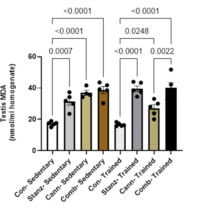 MDA in testicular homogenate across different experimental groups: Control (Con), Stanozolol (Stanz), Cannabis (Cann), and Combined treatments (Comb), with each group further exposed to Sedentary and Training conditions. Data are expressed as mean ± SEM; Significance was tested at p < 0.05 using one-way ANOVA followed by Tukey’s post hoc test for comparison (n = 6/group)