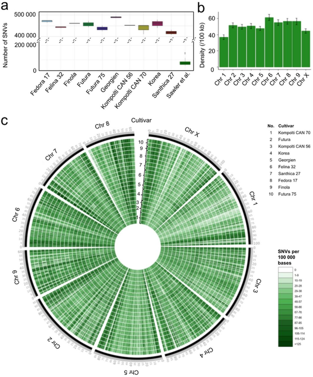 Short nucleotide variants (SNVs) of ten hemp cultivars.The number of filtered SNVs generated by genotyping-by-sequencing per hemp cultivar and of hemp cultivars previously published (21) were visualised as boxplots (a). The mean density of SNVs of all cultivars was visualised as barplots with SD per chromosome (b). The distribution of SNVs for each individual plant was visualised as a circos plot (CircosVCF, 79) (c). The density of SNVs (b) and their distribution (c) are represented per 100,000 bp using the C. sativa reference genome (93).