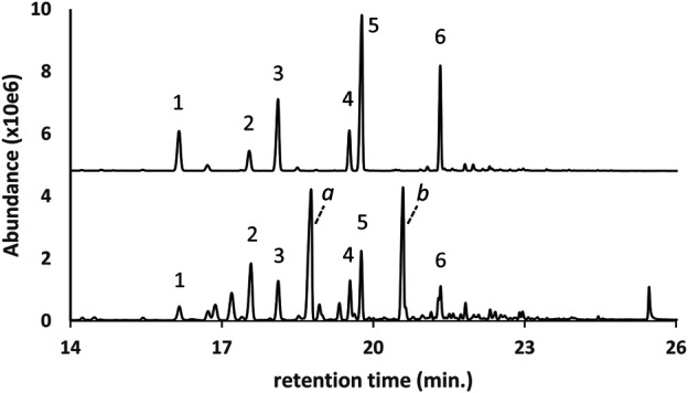 GC-MS chromatogram for a vaping liquid (lower trace) in which a series of pine rosin acids (peak labels 1 through 6) were identified as the monoTMS derivatives. A gum rosin standard material (upper trace, condensed scale, offset) is shown for comparison. Specific pine rosin acids identified as follows: 2- isopimaric acid; 4- dehydroabietic acid; 5- abietic acid. The vaping liquid contained predominant amounts of d9THC and CBN (peak labels a and b), as well as MCT oil components (not shown).