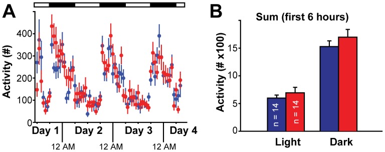 Cx-mGlu5 KO mice exhibit normal locomotion in familiar environment.(A) Home cage activity was plotted in one-hour bins. Light and dark phases over twenty-four hours are indicated as open and closed boxes, respectively. (B) Summary for the total activity during the first six hours in the light or dark phases.