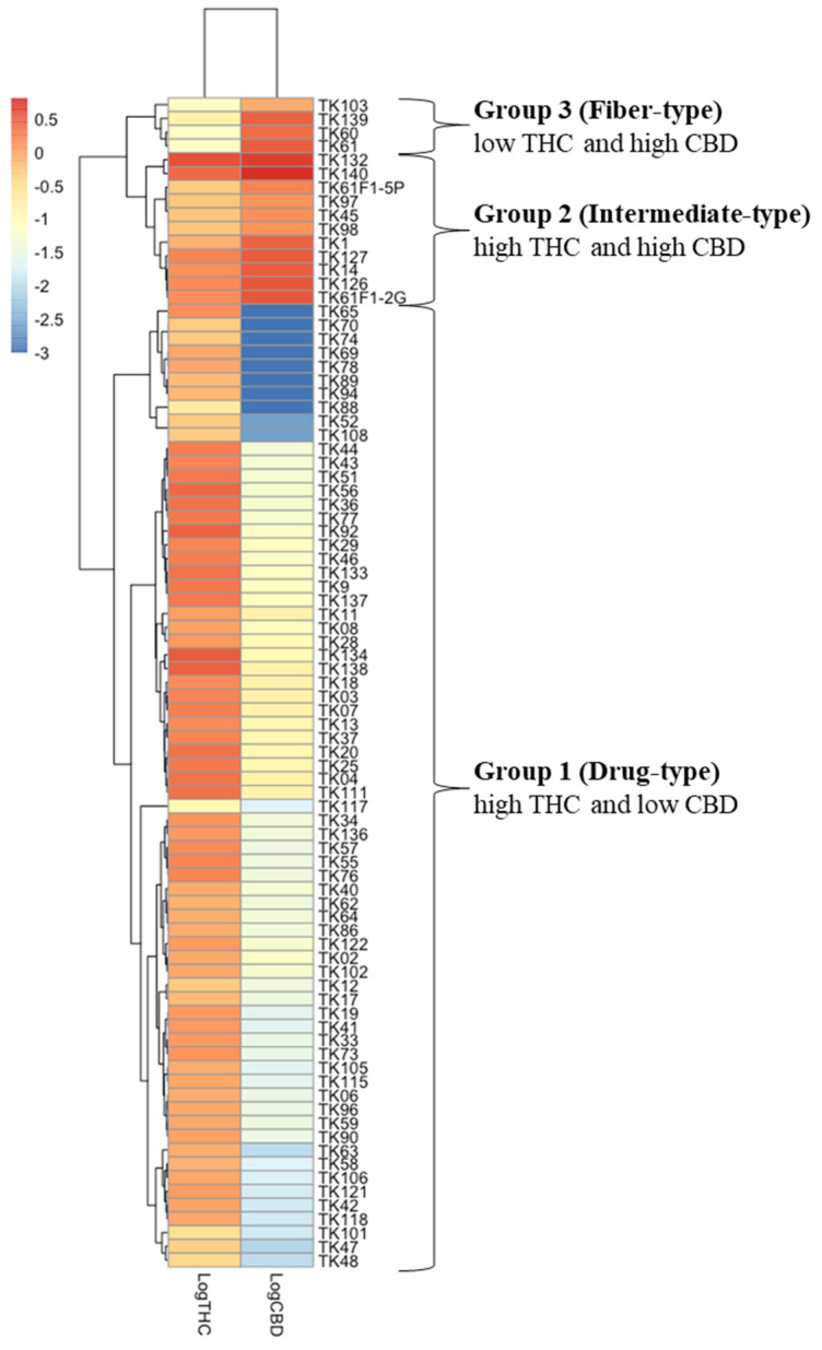 Heat maps analysis of chemical constituents for Cannabis plants grouping by using neutral form including THC and CBD, made with RStudio (Version 1.4.1103). To classify Cannabis group by quantitative analysis of UPLC, THC and CBD contents were log10 transformed and are displayed as colours ranging from red to blue as shown in the key. Both rows and columns are clustered using the Euclidean clustering metric and Complete method of the pheatmap package.