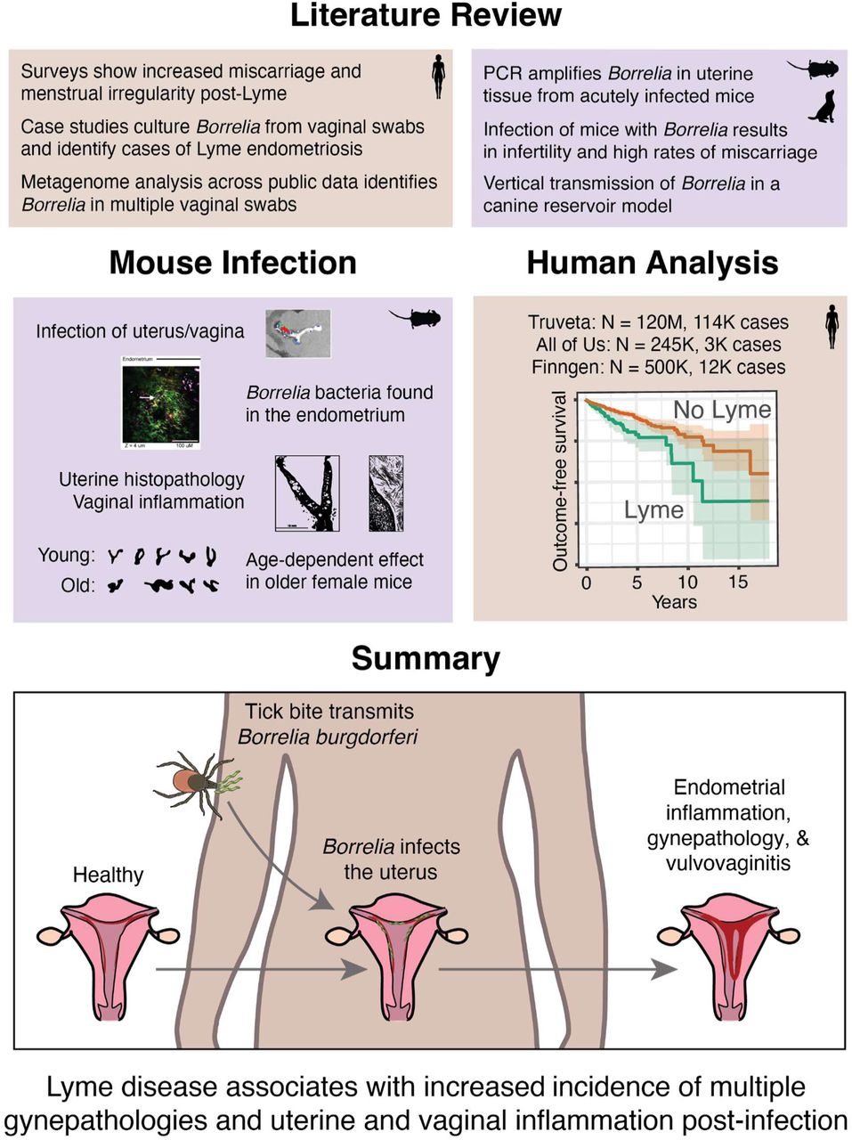 Scientific figure